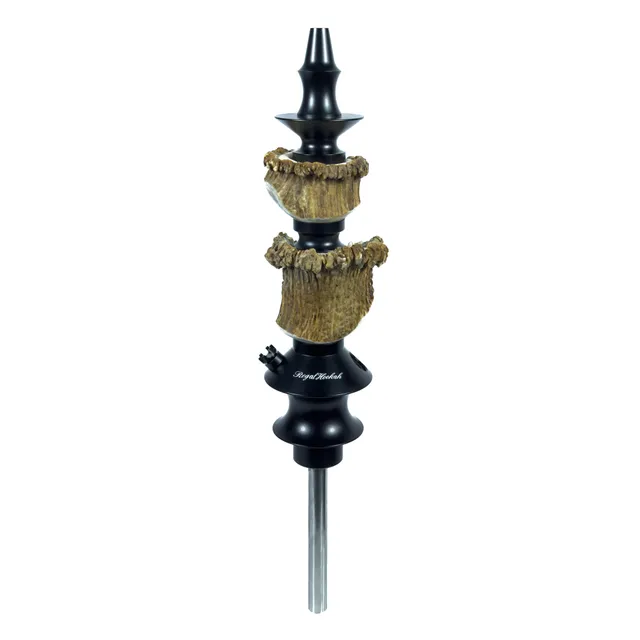 regal-king-mini-cavalier-king-bone-shisha-raw-bone image 1