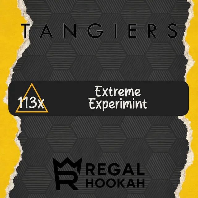 tangiers-noir-c113x-extreme-experimint-shisha-tabak-250g-minze image 1