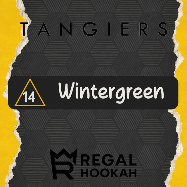 tangiers-noir-c14-wintergreen-shisha-tabak-250g image 1