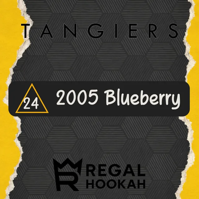 tangiers-noir-c24-shisha-tabak-blueberry-250g image 1