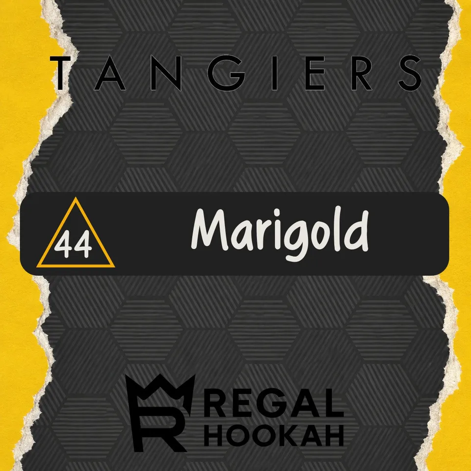 tangiers-noir-c44-marigold-shisha-tabak-250g-floral image 1
