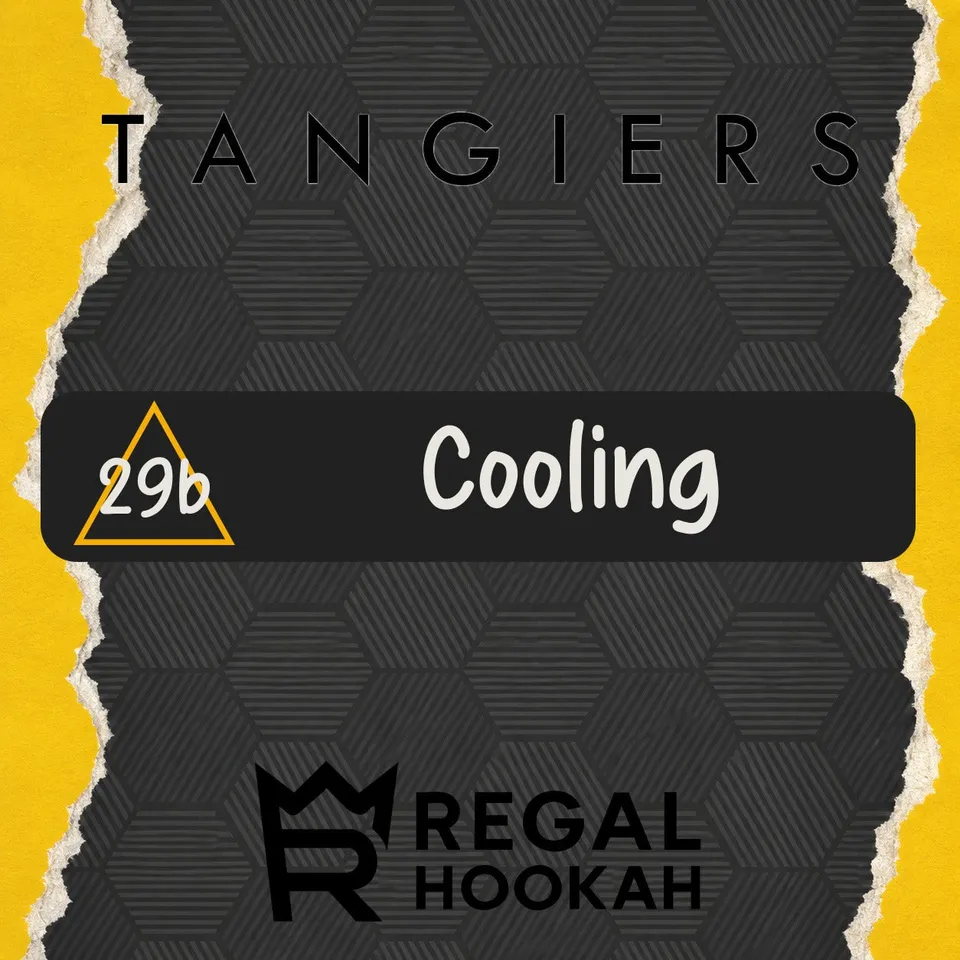 tangiers-noir-c29b-shisha-tabak-250g-cooling-menthol image 1