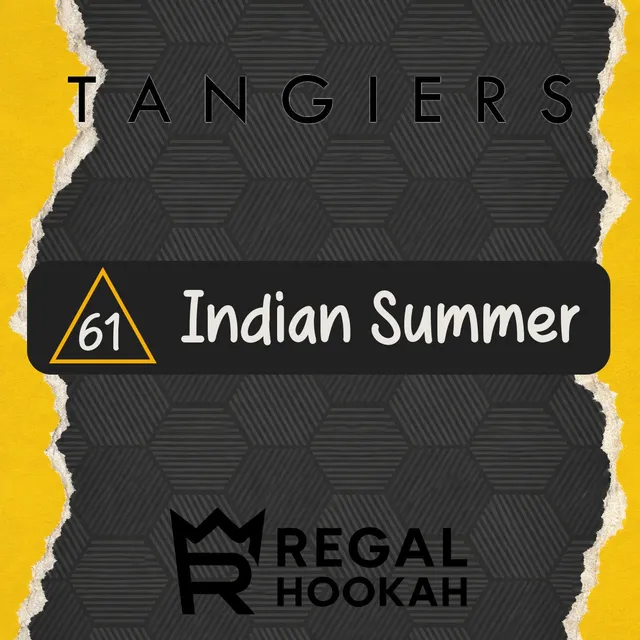 tangiers-noir-c61-indian-summer-shisha-tabak-250g image 1